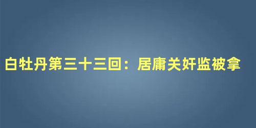 白牡丹第三十三回：居庸关奸监被拿　金鸾殿老阁问供